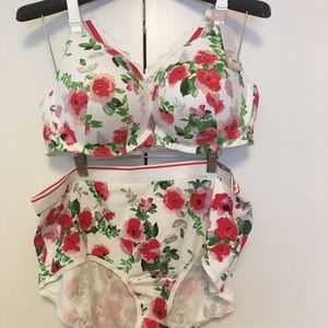 Lane Bryant plunge bra and full brief panty.